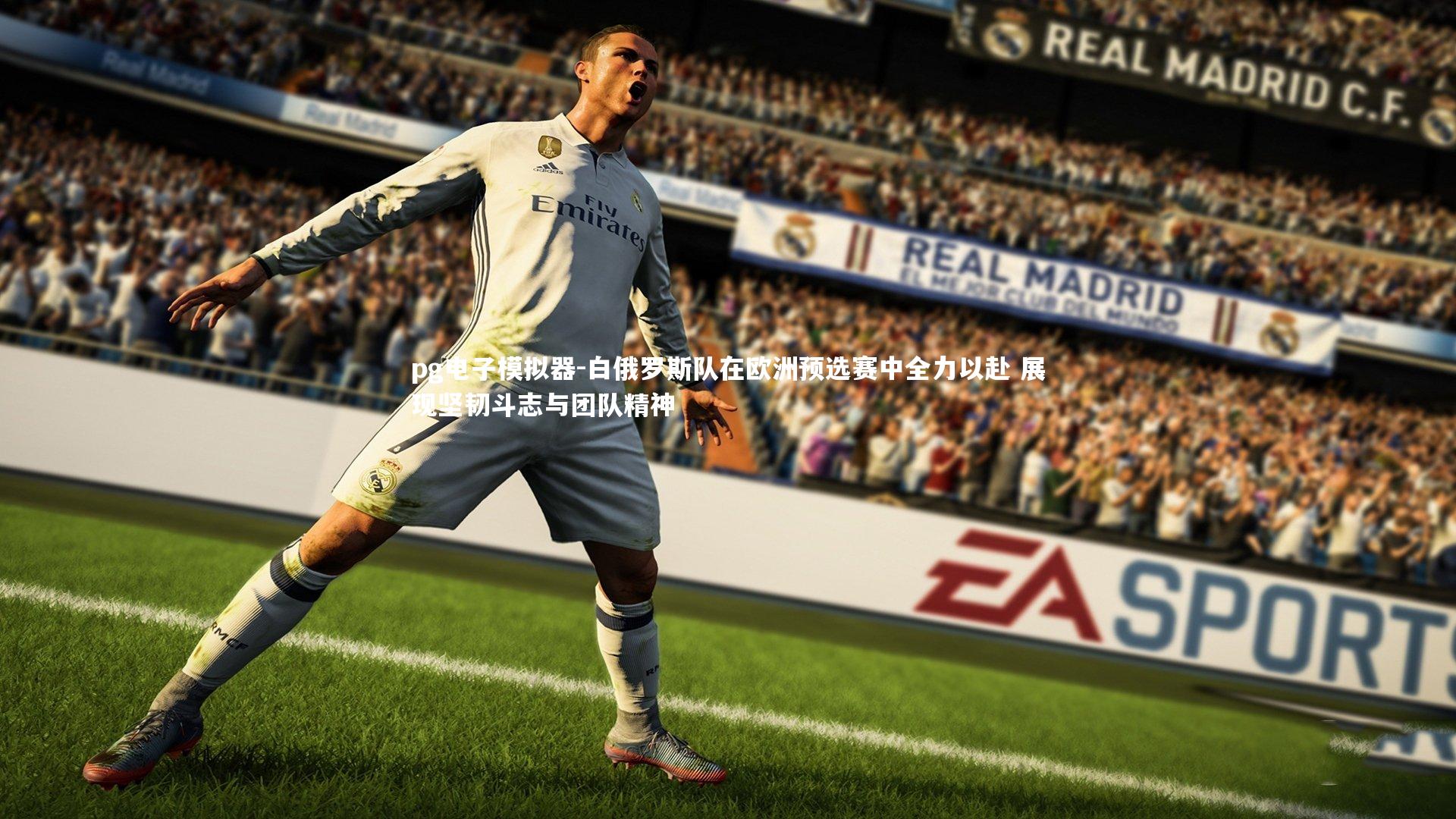 白俄罗斯队在欧洲预选赛中全力以赴 展现坚韧斗志与团队精神